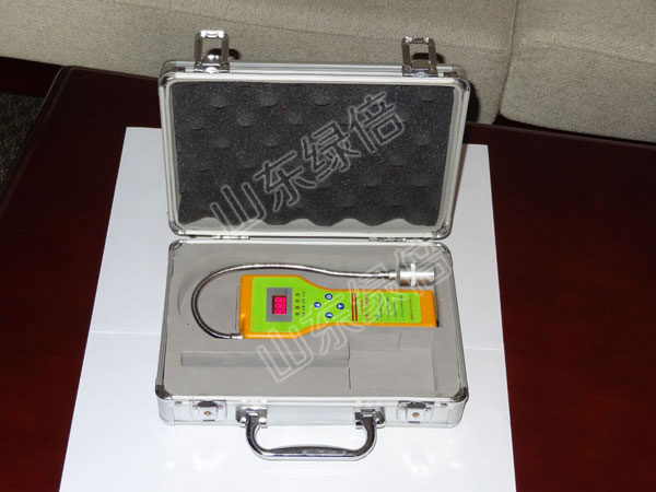 CA-2100H Portable Natural Gas Leak Detector