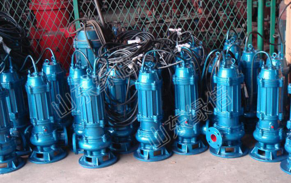 QW Vertical Electric Submersible Sewage Pump