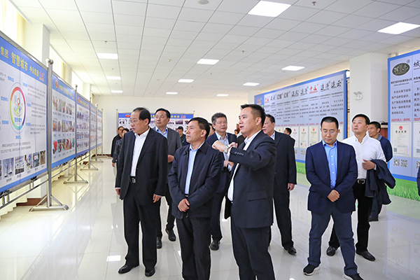 Warmly Welcome Hebi Municipal Party Committee Secretary Fan Xiufang And Mayor Guo Hao To Visit Shandong Lvbei For Inspection