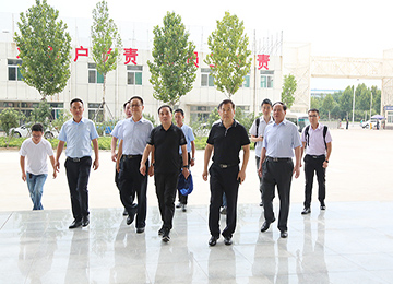 Warmly Welcome The Leaders Of the Ministry Of Industry And Information Technology And The Provincial Commission Of Economy And Information Technology To Visit Shandong LvBei